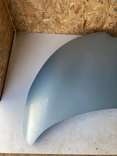 Cofano RENAULT ZOE TERNU