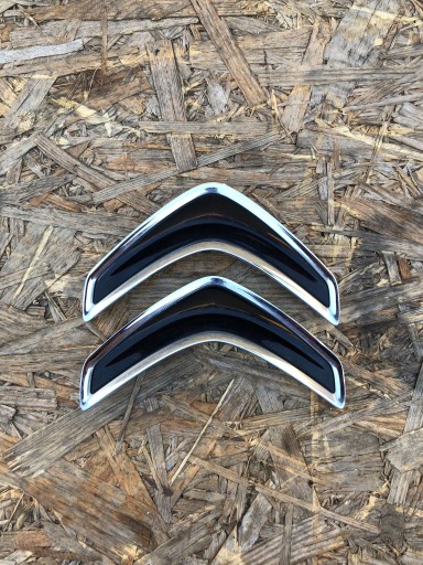 Задняя эмблема C4 кактус значок