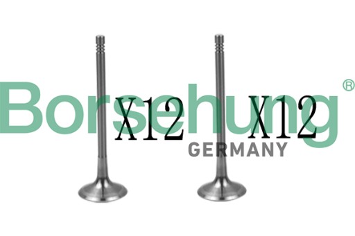 B18639 - ВИХЛОПНІ ВСМОКТУВАЛЬНІ КЛАПАНИ KPL BORSEHUNG