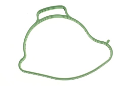 420431682 - Прокладка водяного насоса Can-Am Ryker