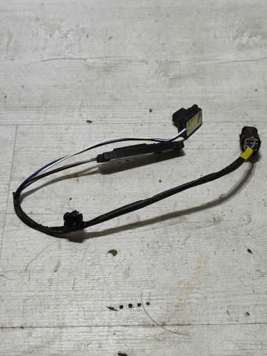 Hyundai Kona and 2018 button handles zewnetrznej