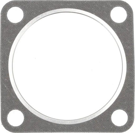 04184673 - Тюлень