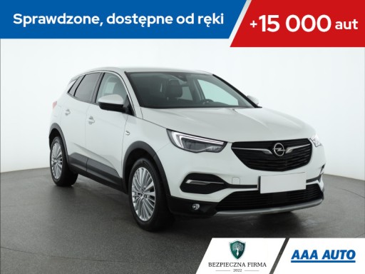 Opel Grandland 1.2 Turbo, Salon Polska