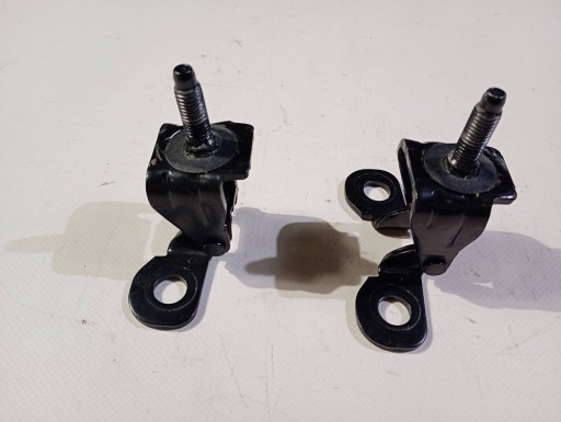 hinge hinges bonnet boot komplet Ford Mustang Mach-E 2020