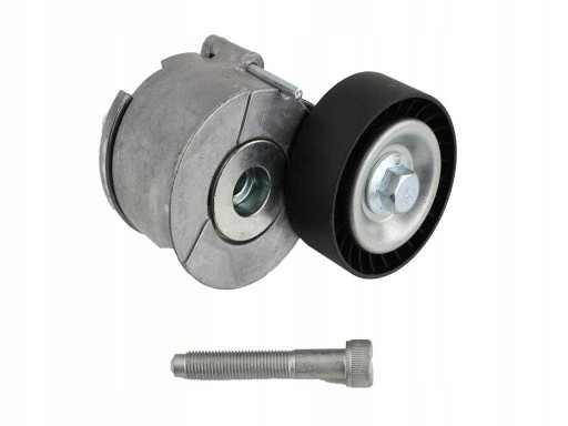 FT44614 - КОМПЛЕКТ НАТЯЖИТЕЛЯ РЕМНЯ MICRO-V FIAT DOBLO 09-1.3