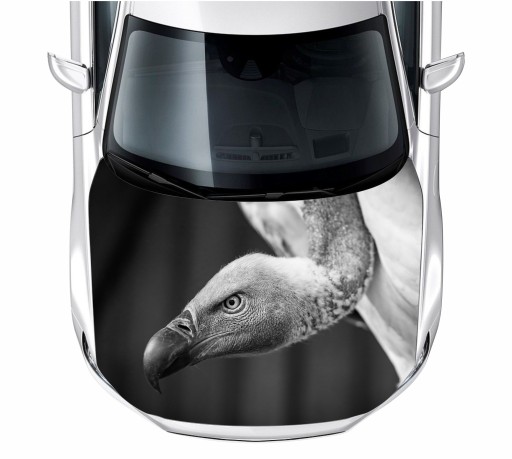 Наклейка на маску стерв'ятника 150x115 см плівка 3м