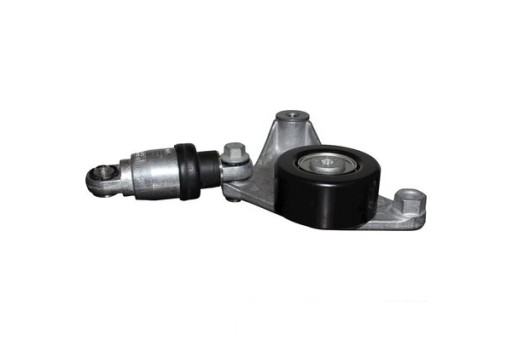 4818200100 - НАТЯЖУВАЧ КЛИНОВОГО РЕМЕНЯ JP GROUP