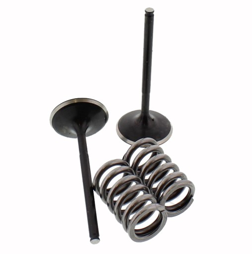 7470620 - КЛАПАН ПРУЖИННІ УСМОКТУВАЛЬНІ КЛАПАНИ HONDA CRF 450 PE06A