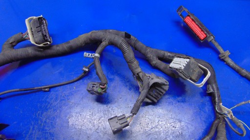 Scatola cablaggio cablaggio 2.0TDCI FORD TRANSIT MK8 12-20 ROK