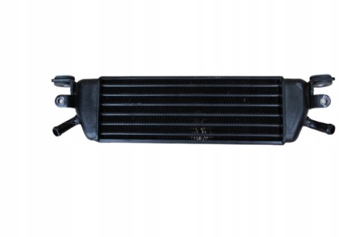 000EE8456 - МАСЛЯНИЙ РАДІАТОР BMW R1100RT 2000R &