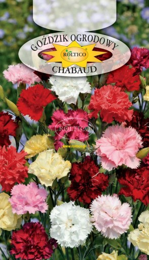 Semená Karafiát záhradný Chabaud 0,5 g Roltico Karafiát Szabo mix farieb