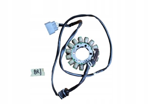 000EE8456 - XV 1900 РЕЙДЕР ГЕНЕРАТОР СТАТОР ГЕНЕРАТОР СТАТОР