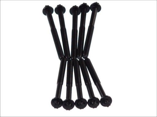 Комплект болтов головки блока цилиндров PAYEN HBS259