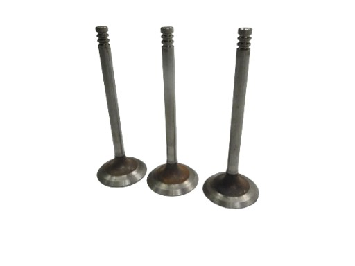 Всмоктувальні клапани Volkswagen Jetta OE 030109601L