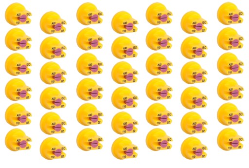 КОМПЛЕКТ ФОРСУНКИ ЛУЧ 21M AXI 110 02 ALBUZ