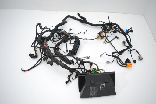 Головний Джгут проводів BMW R 850 RT 96-01