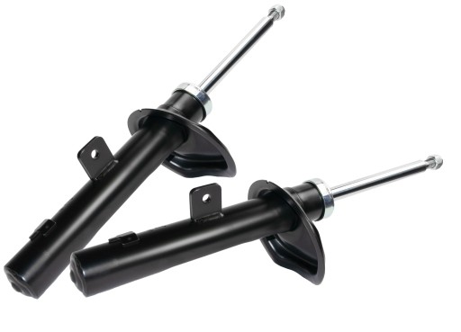 021936LR - Амортизаторы x2 partner berlingo zx xsara передние