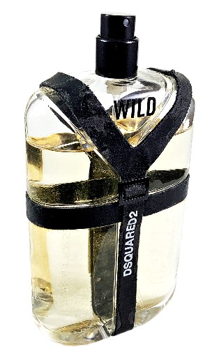 dsquared² wild