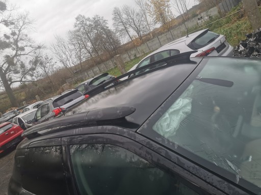 Citroen C4 cactus relingi