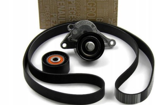 117201902R - НАТЯГУВАЧ РЕМЕНЯ MASTER III 2.3 DCI 2014-ОРИГІНАЛ