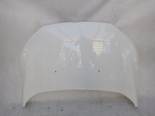 FORD ECOSPORT II 2 12-17 Cofano
