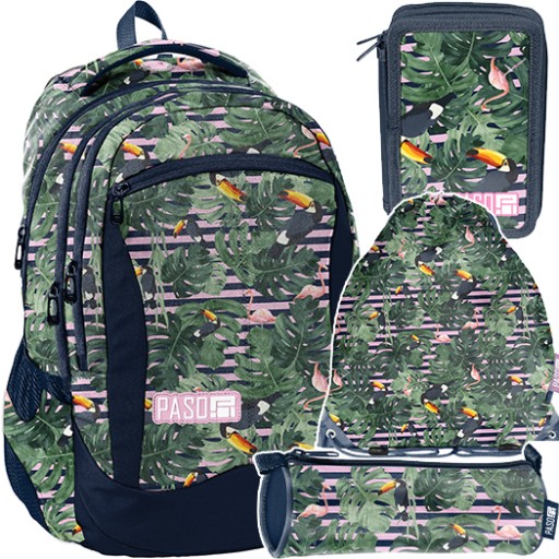 Багатокамерний шкільний рюкзак Paso Multicolour