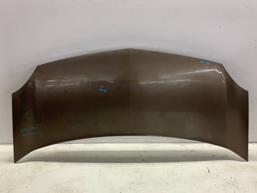 Cofano Anteriore RENAULT KANGOO II (2007-2013) colore TECNB
