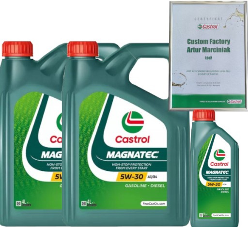 CASTROL MAGNATEC 5W30 A3/B4 9L VW 502 00 / 505 00 + ПОДВЕСКА