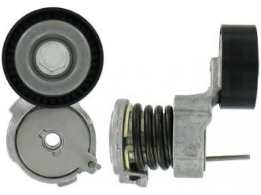 31220 - РОЛИК НАТЯЖИТЕЛЯ КЛИНОВОГО РЕМЕНЯ VW POLO IV 9N 1.2