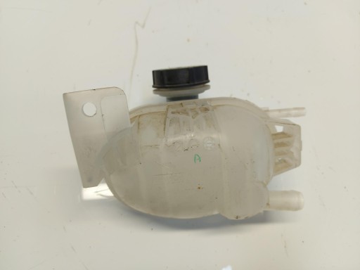 Ford Mustang Mach-E Behälter des Gasses des Kühlers LJ93-8A080-AB