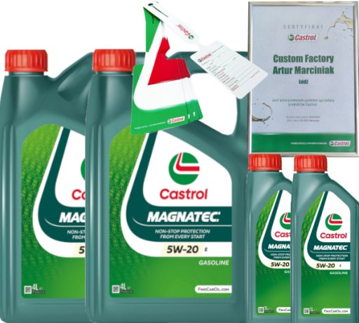 CASTROL MAGNATEC 5W20 E 10L FORD WSS-M2C948-B + ПІДВІСКА