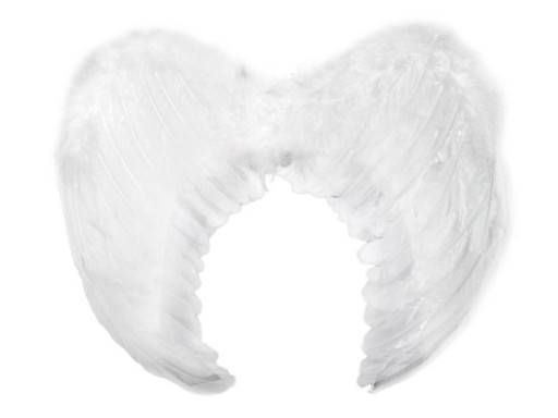 АНГЕЛСЬКИЙ НАРЯД СУКНЯ WINGS HALO 98-110