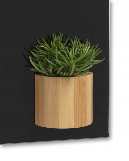 МАГНІТНИЙ КОНТЕЙНЕР для маркерів для дошки NAGA