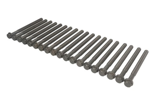 14-10581-01 - КОМПЛЕКТ БОЛТОВ ГОЛОВКИ MERCEDES ACTROS MP4 4710160069