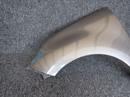 RENAULT SCENIC III 09-13 fender left front front