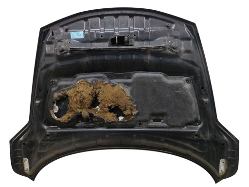 cofano NISSAN JUKE e F15 LAK: KAX G (10-14)