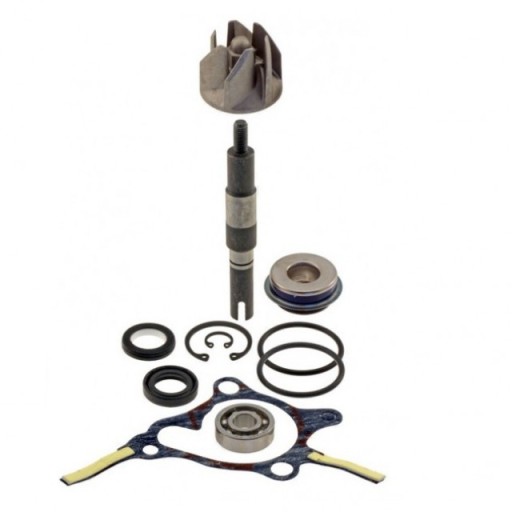 1001103100001 - КОМПЛЕКТ ДЛЯ РЕМОНТА ВОДЯНОГО НАСОСА HONDA FORESIGHT 250