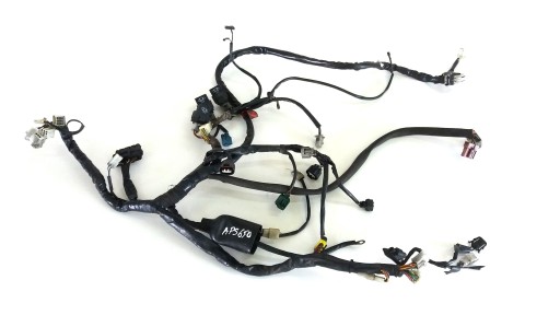 123410026 - APRILIA PEGASO 650 STRADA электропроводка