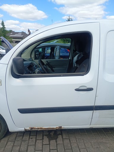 door left front front Renault Kangoo 2 II 08-21 kod lakieru 0389
