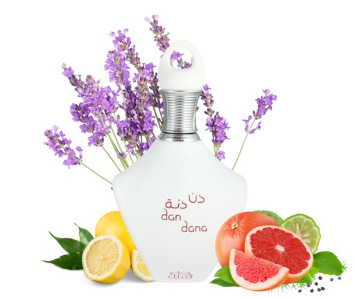 nabeel souq collection - dan dana woda perfumowana 100 ml   zestaw