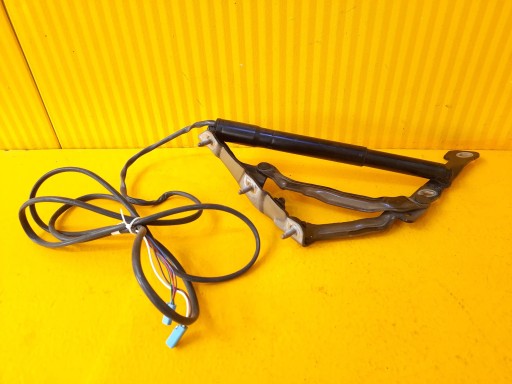 017D06J0121 - Тесла Модель 3 петля багажника задня ліва