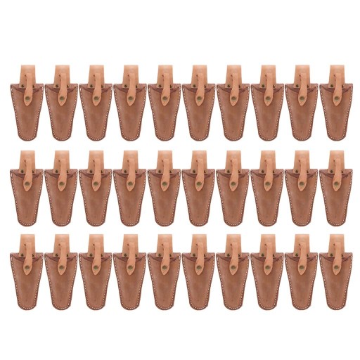 30 Шт. Сади Електрик Тесляр