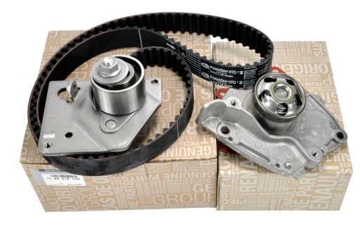 119A01812R - Оригінальний насос ГРМ Renault Grand Scenic 1.9 dCi