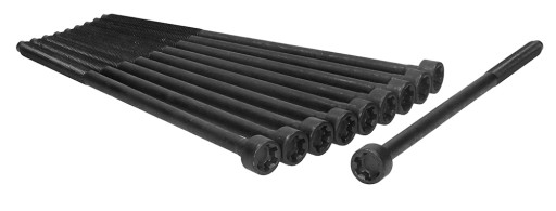 81021600 - Болти головки для ALFA ROMEO 147 01-