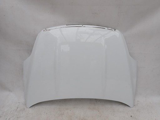 FORD KUGA and 1 MK1 08-13 bonnet