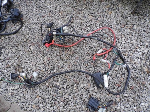 DD9733GVDDD--9SHHJSKSQPSIJMCNJDN - PEUGEOT TWEET 50 4T ПРОВОД+РЕГУЛЯТОР+МОДУЛЬ ОРИГІНАЛ