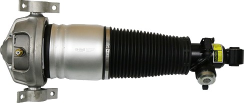 46160000801 - Воздушный амортизатор Vika