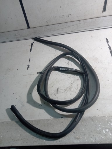 NISSAN QASHQAI III J12 ущільнювач передніх дверей