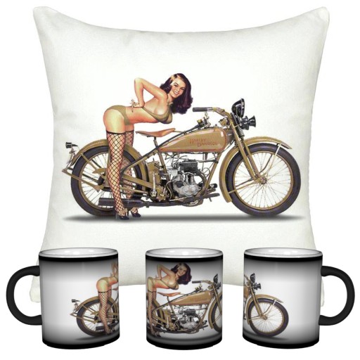 НАБОР HARLEY DAVIDSON ВОЛШЕБНАЯ ЧАШКА + ПОДУШКА