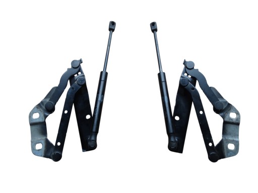 RANGE ROVER EVOQUE L538 LIFT 15-19 Cerniera Cerniere cofano sinistra Destra KOMPLET